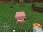 Bella’s Minecraft club
