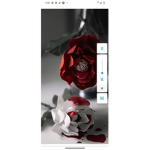 Theflower