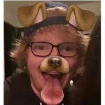 sheddy