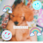 Ali Aesthetic Collection