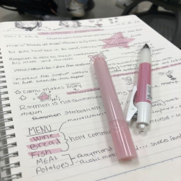 -`♡´-