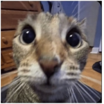 My pc runs 4fps