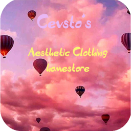Aesthetic Clothing store