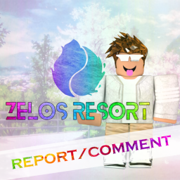 Report/Comment Center