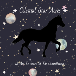 [⭐] ~ Celestial Star Acres ~ [⭐]