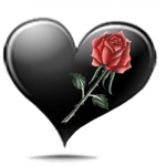 dark roses island