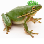 froggers