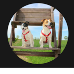 BAUKLIX ARMY