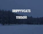 DrippyVcats