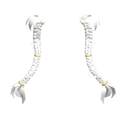 LONG Twin Tail Wisteria Braids ♡ ♡ White Roblox item