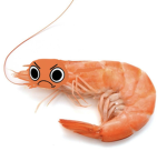 ShrimpsSuper