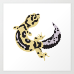 The Official Leopard Geckos United