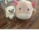 Kitty and Axolotl