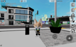 Dogs_furrys_fun