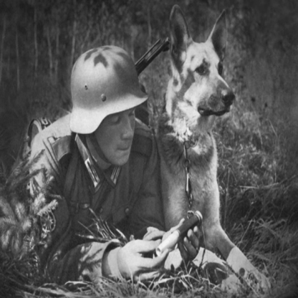 German Soldier whit a Shepherd(Dog) Roblox decal