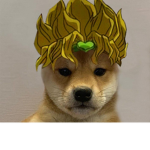 The Doge/Wolves Squad