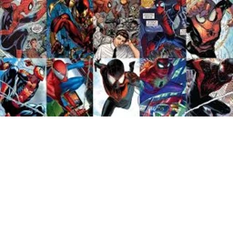 Marvel comics Spider-Man  icon