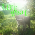 LifeWish