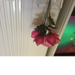 Roses life