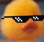 ~'Duck Cult'~