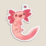 AXOLOTL RAID GANG