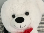 Teddy Bear The Best Army