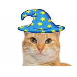 Cat Wizards