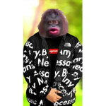 Monkey is cool123