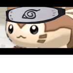 Furret gang