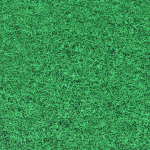 Grass Material
