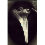 Plague doctor tranning