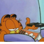 a lonely cat D: