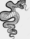 $코코$