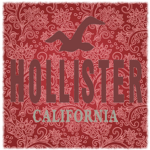 ☼Hollister Co.☼