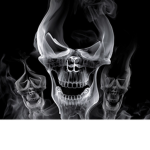 Smoke Shadow Clan
