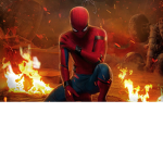 Spider Buddy's