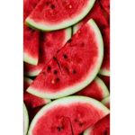 Dinosandia