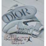 $diiorrr ent.