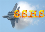 S.S.H.S