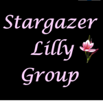 Stargazer Lilly Group
