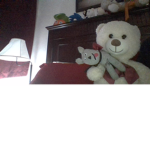 BEARS DEVELEPORS