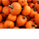 Team Pumpkin nation