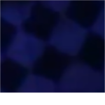 TP Island Roblox