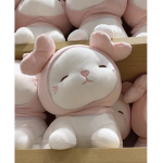 팝픽