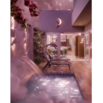 Dreamxfriends