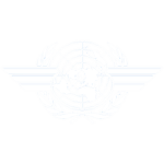 United Nations Air Force.