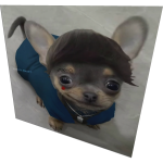 Cute Dog Tumbado