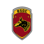 Butchers Special Operations Company (BSOC)