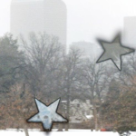 stargal