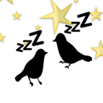 Two Birds on a Dream